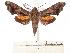  ( - BC-EMEM1047)  @14 [ ] Copyright (2010) Unspecified Research Collection of Ulf Eitschberger