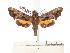  ( - BC-EMEM1050)  @13 [ ] Copyright (2010) Unspecified Research Collection of Ulf Eitschberger