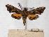  ( - BC-EMEM1053)  @13 [ ] Copyright (2010) Unspecified Research Collection of Ulf Eitschberger