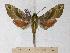  ( - BC-EMEM1172)  @14 [ ] Copyright (2010) Unspecified Research Collection of Ulf Eitschberger