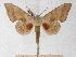  ( - BC-EMEM1177)  @14 [ ] Copyright (2010) Unspecified Research Collection of Ulf Eitschberger