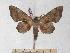  ( - BC-EMEM1188)  @14 [ ] Copyright (2010) Unspecified Research Collection of Ulf Eitschberger