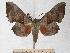  ( - BC-EMEM1190)  @14 [ ] Copyright (2010) Unspecified Research Collection of Ulf Eitschberger