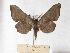  ( - BC-EMEM1194)  @13 [ ] Copyright (2010) Unspecified Research Collection of Ulf Eitschberger
