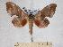  ( - BC-EMEM1216)  @14 [ ] Copyright (2010) Unspecified Research Collection of Ulf Eitschberger