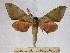  ( - BC-EMEM1243)  @14 [ ] Copyright (2010) Unspecified Research Collection of Ulf Eitschberger