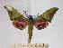  ( - BC-EMEM1282)  @13 [ ] Copyright (2010) Unspecified Research Collection of Ulf Eitschberger