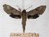  ( - BC-EMEM1458)  @14 [ ] Copyright (2010) Unspecified Research Collection of Ulf Eitschberger