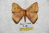  ( - BC-RBP 5655)  @12 [ ] Copyright (2010) Ron Brechlin Research Collection of Ron Brechlin