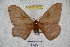  ( - BC-RBP 3773)  @11 [ ] Copyright (2010) Ron Brechlin Research Collection of Ron Brechlin