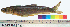  ( - UM01)  @13 [ ] Unspecified (default): All Rights Reserved  Unspecified Unspecified