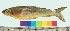  ( - UM02)  @13 [ ] Unspecified (default): All Rights Reserved  Unspecified Unspecified