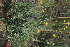  ( - Magee194)  @11 [ ] Copyright (2013) Anthony Magee SANBI
