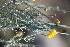  ( - Magee253)  @11 [ ] Copyright (2013) Anthony Magee SANBI