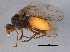  ( - BIOUG03496-B11)  @13 [ ] CreativeCommons - Attribution (2014) CBG Photography Group Centre for Biodiversity Genomics