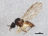  ( - BIOUG03497-G09)  @13 [ ] CreativeCommons - Attribution (2013) CBG Photography Group Centre for Biodiversity Genomics