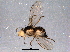  ( - BIOUG03526-C03)  @12 [ ] CreativeCommons - Attribution (2014) CBG Photography Group Centre for Biodiversity Genomics