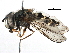  ( - BIOUG03527-A08)  @14 [ ] CreativeCommons - Attribution (2016) CBG Photography Group Centre for Biodiversity Genomics