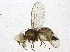  ( - BIOUG03612-G08)  @12 [ ] CreativeCommons - Attribution (2013) CBG Photography Group Centre for Biodiversity Genomics