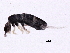  ( - BIOUG03626-D05)  @13 [ ] CreativeCommons - Attribution (2012) CBG Photography Group Centre for Biodiversity Genomics