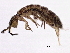  ( - BIOUG03626-D07)  @15 [ ] CreativeCommons - Attribution (2012) CBG Photography Group Centre for Biodiversity Genomics