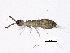  ( - BIOUG03626-E11)  @14 [ ] CreativeCommons - Attribution (2012) CBG Photography Group Centre for Biodiversity Genomics