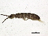  ( - BIOUG03626-G03)  @14 [ ] CreativeCommons - Attribution (2012) CBG Photography Group Centre for Biodiversity Genomics