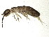  ( - BIOUG03626-G04)  @14 [ ] CreativeCommons - Attribution (2012) CBG Photography Group Centre for Biodiversity Genomics