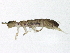  ( - BIOUG03626-G07)  @14 [ ] CreativeCommons - Attribution (2012) CBG Photography Group Centre for Biodiversity Genomics