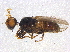 ( - BIOUG03628-F09)  @12 [ ] CreativeCommons - Attribution (2013) CBG Photography Group Centre for Biodiversity Genomics