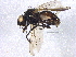  ( - BIOUG03780-C03)  @13 [ ] CreativeCommons - Attribution (2013) CBG Photography Group Centre for Biodiversity Genomics