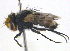  ( - BIOUG03858-D10)  @13 [ ] CreativeCommons - Attribution (2012) CBG Photography Group Centre for Biodiversity Genomics