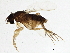  ( - BIOUG03497-H05)  @13 [ ] CreativeCommons - Attribution (2013) CBG Photography Group Centre for Biodiversity Genomics