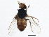  ( - BIOUG03526-A07)  @14 [ ] CreativeCommons - Attribution (2013) CBG Photography Group Centre for Biodiversity Genomics