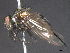  ( - BIOUG03527-E10)  @12 [ ] CreativeCommons - Attribution (2012) CBG Photography Group Centre for Biodiversity Genomics