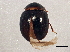  ( - BIOUG03521-E09)  @13 [ ] CreativeCommons - Attribution (2013) CBG Photography Group Centre for Biodiversity Genomics