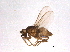  (Rudolfina - BIOUG03781-G11)  @13 [ ] CreativeCommons - Attribution (2013) CBG Photography Group Centre for Biodiversity Genomics