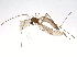  ( - BIOUG03816-F09)  @13 [ ] CreativeCommons - Attribution (2013) CBG Photography Group Centre for Biodiversity Genomics