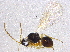  ( - BIOUG03860-C09)  @13 [ ] CreativeCommons - Attribution (2013) CBG Photography Group Centre for Biodiversity Genomics