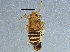  ( - BIOUG03941-C01)  @13 [ ] CreativeCommons - Attribution (2013) CBG Photography Group Centre for Biodiversity Genomics
