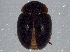  ( - BIOUG03942-A06)  @13 [ ] CreativeCommons - Attribution (2013) CBG Photography Group Centre for Biodiversity Genomics