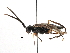  ( - BIOUG03981-D04)  @12 [ ] CreativeCommons - Attribution (2016) CBG Photography Group Centre for Biodiversity Genomics