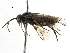  ( - BIOUG03981-F11)  @13 [ ] CreativeCommons - Attribution (2016) CBG Photography Group Centre for Biodiversity Genomics