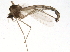 ( - BIOUG04019-C12)  @13 [ ] CreativeCommons - Attribution (2013) CBG Photography Group Centre for Biodiversity Genomics