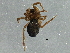  ( - BIOUG04069-C03)  @12 [ ] CreativeCommons - Attribution (2013) CBG Photography Group Centre for Biodiversity Genomics