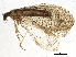  ( - BIOUG03505-C04)  @13 [ ] CreativeCommons - Attribution (2014) CBG Photography Group Centre for Biodiversity Genomics