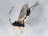 ( - BIOUG04125-C07)  @13 [ ] CreativeCommons - Attribution (2013) CBG Photography Group Centre for Biodiversity Genomics