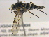  ( - BIOUG04173-H04)  @13 [ ] CreativeCommons - Attribution (2012) CBG Photography Group Centre for Biodiversity Genomics
