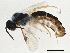  ( - BIOUG04281-F01)  @13 [ ] CreativeCommons - Attribution (2014) CBG Photography Group Centre for Biodiversity Genomics