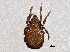  ( - BIOUG04397-G01)  @13 [ ] CreativeCommons - Attribution (2014) CBG Photography Group Centre for Biodiversity Genomics